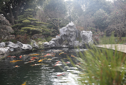 園林一角