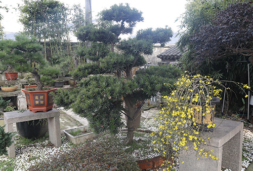 園林一角