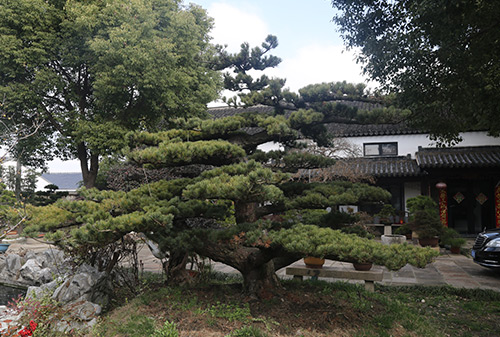 園林一角